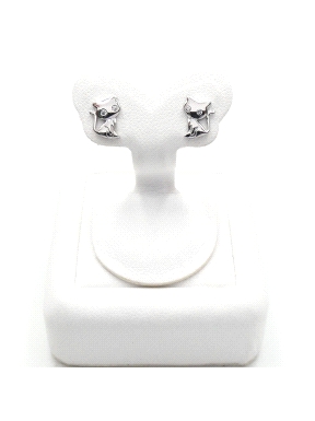 PENDIENTES PLATA                                                      