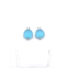 PENDIENTES PLATA                                                      