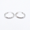 PENDIENTES PLATA