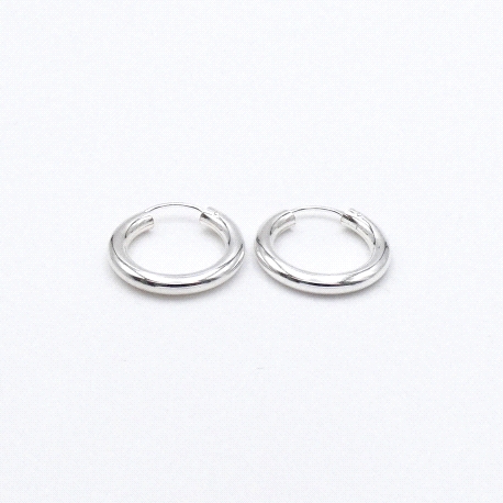 PENDIENTES PLATA                                                      