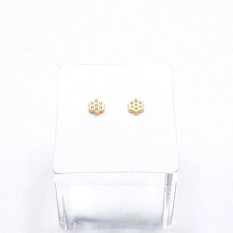 PENDIENTES ORO                                                        
