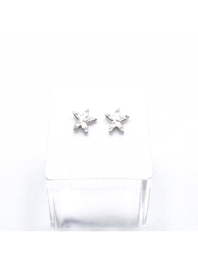 PENDIENTES PLATA                                                      