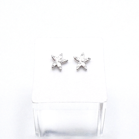 PENDIENTES PLATA                                                      