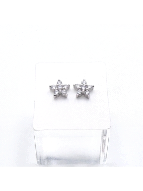 PENDIENTES PLATA