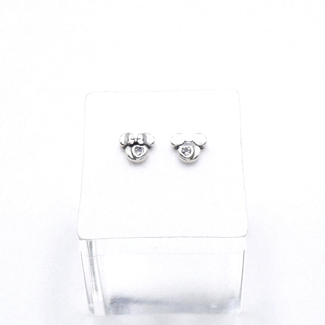 PENDIENTES PLATA                                                      