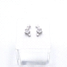 PENDIENTES PLATA                                                      