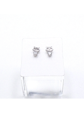 PENDIENTES PLATA                                                      