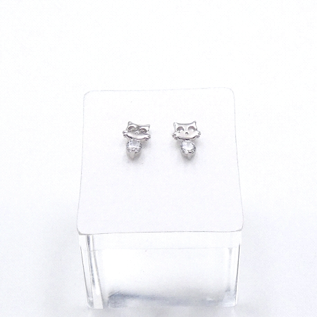 PENDIENTES PLATA                                                      