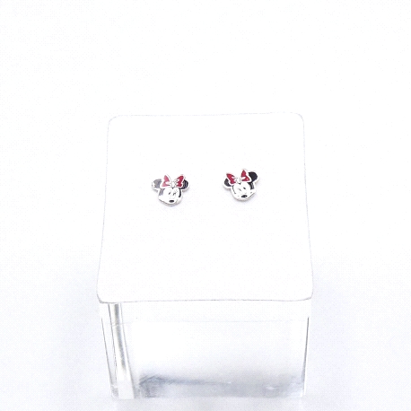 PENDIENTES PLATA                                                      