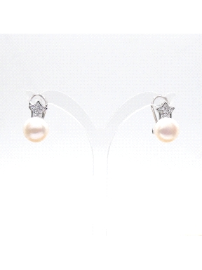 PENDIENTES PLATA
