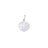 COLGANTES PLATA                                                       