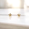 PENDIENTES ORO                                                        