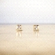 PENDIENTES ORO