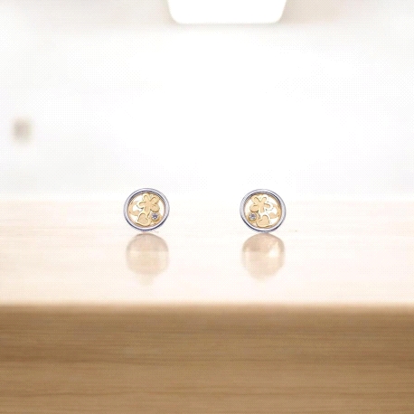 PENDIENTES ORO
