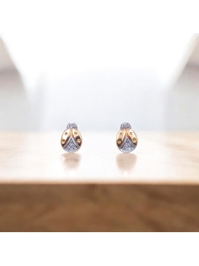PENDIENTES BIC SU30800056