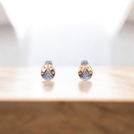 PENDIENTES BIC SU30800056