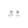PENDIENTES PLATA                                                      