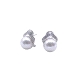 PENDIENTES PLATA                                                      