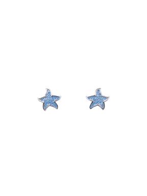 PENDIENTES PLATA                                                      