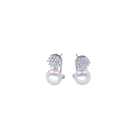 PENDIENTES PLATA