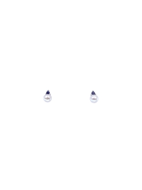 PENDIENTES PLATA
