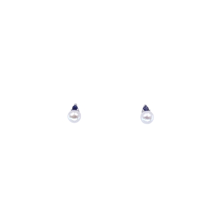 PENDIENTES PLATA