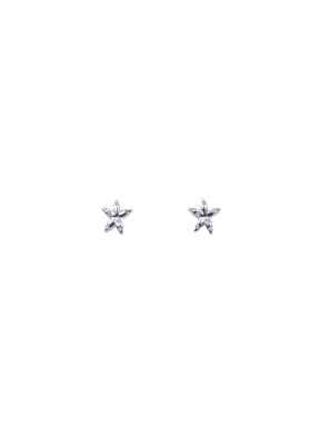 PENDIENTES PLATA