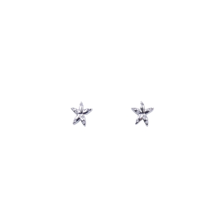 PENDIENTES PLATA