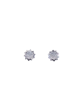 PENDIENTES PLATA