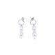 PENDIENTES PLATA