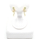 PENDIENTES PLATA