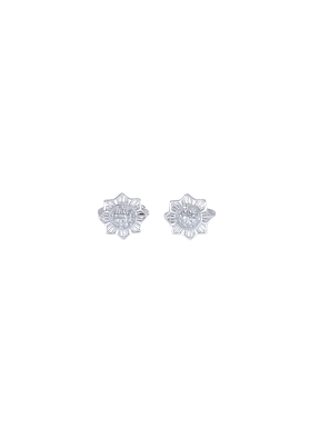 PENDIENTES PLATA