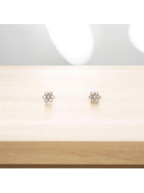 PENDIENTES ORO