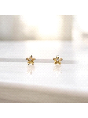 PENDIENTES ORO