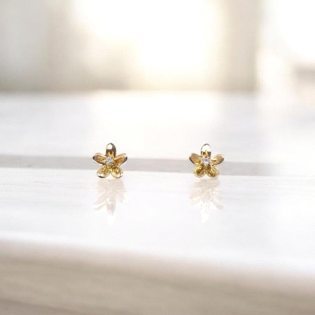 PENDIENTES ORO