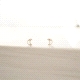 PENDIENTES ORO