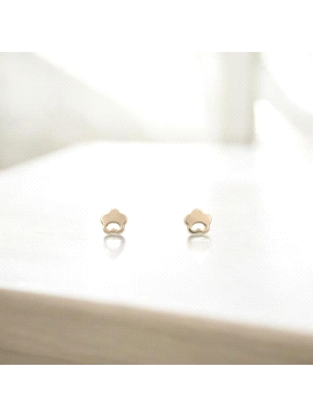 PENDIENTES ORO