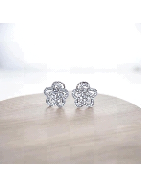 PENDIENTES OB ALEP9262