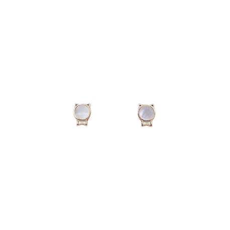 PENDIENTES PLATA
