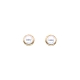 PENDIENTES PLATA