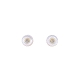 PENDIENTES PLATA