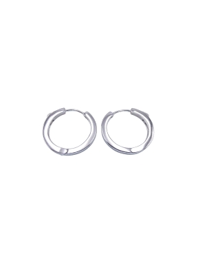 PENDIENTES PLATA