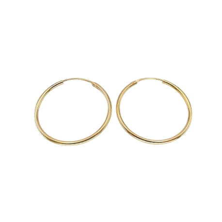 PENDIENTES PLATA