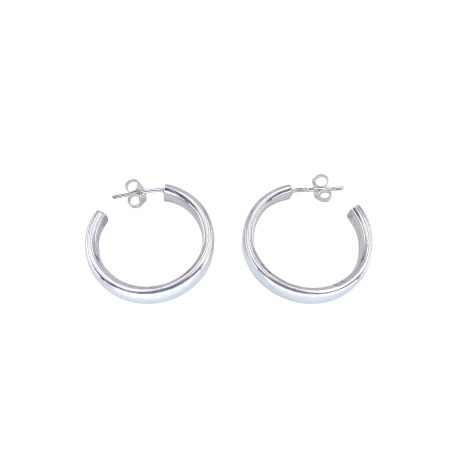 PENDIENTES PLATA