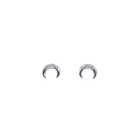 PENDIENTES PLATA