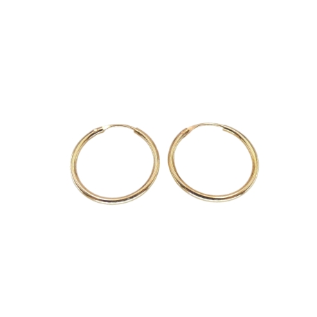 PENDIENTES PLATA