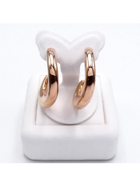 PENDIENTES PL SU95000007
