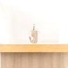 MEDALLAS ORO