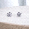PENDIENTES PLATA                                                      
