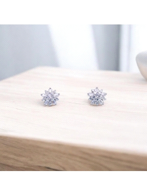 PENDIENTES PLATA                                                      